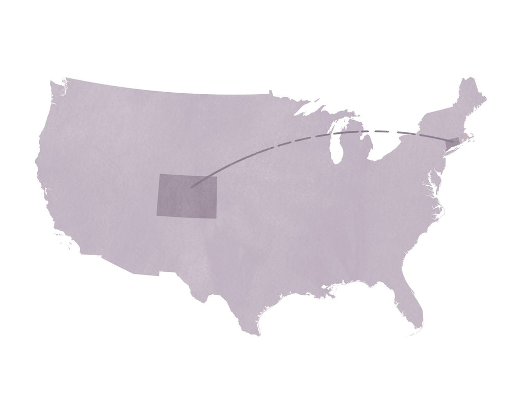 Summer Shipping Update